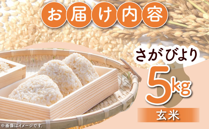 【ご飯でご飯が食べられる！】令和7年産 さがびより 玄米 5kg（一等米）【一九FARM】 [HDC002]