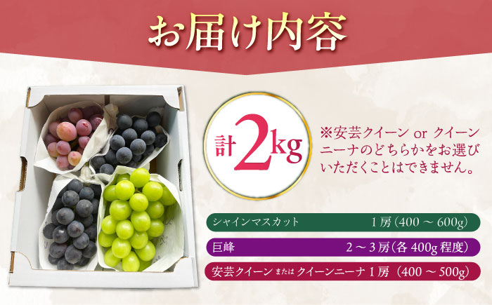 【6～7月発送】ぶどう 3種詰合せ 2kg　（ シャインマスカット 巨峰 安芸クイーン クイーンニーナ ）/ 佐賀県産 / 【石井園】 [HDD002]