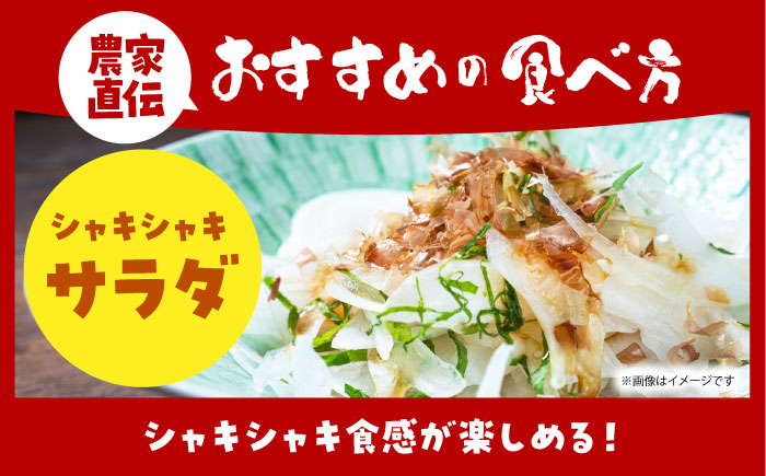 【今が旬!】 訳あり 玉ねぎ 10kg（小玉）【えぐちファーム】 不揃い たまねぎ [HDE002]