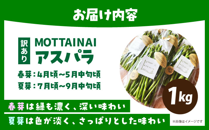 【訳あり】 MOTTAINAI アスパラ 1kg 【えぐちファーム】 アスパラガス ワケアリ [HDE003]