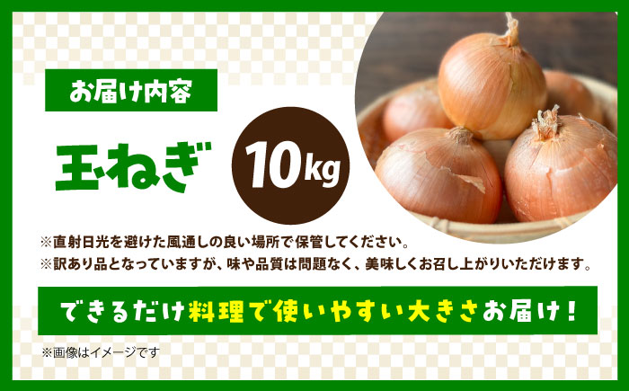 【今が旬!】 訳あり 玉ねぎ 10kg 　【えぐちファーム】 不揃い たまねぎ [HDE004]