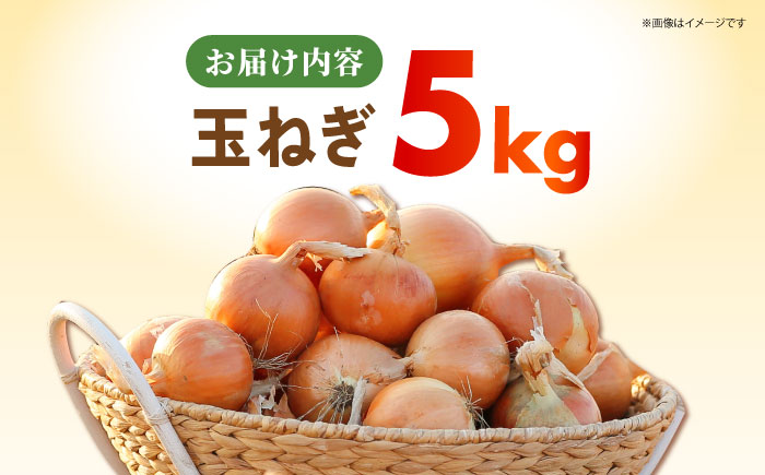 【先行予約】 玉ねぎ 5kg 【吉祥】 [HDG003]