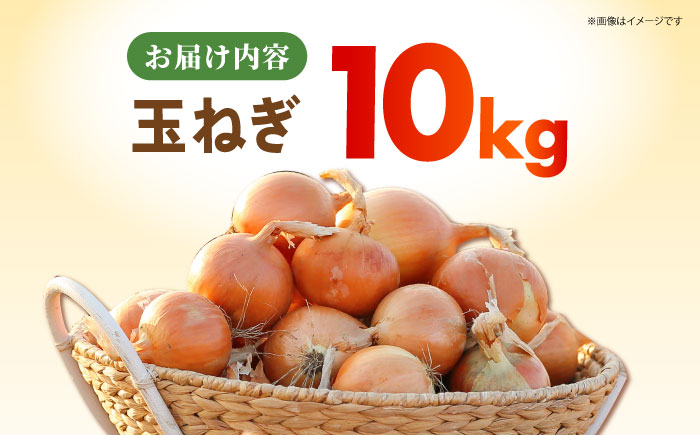 【先行予約】 玉ねぎ 10kg 【吉祥】 [HDG004]