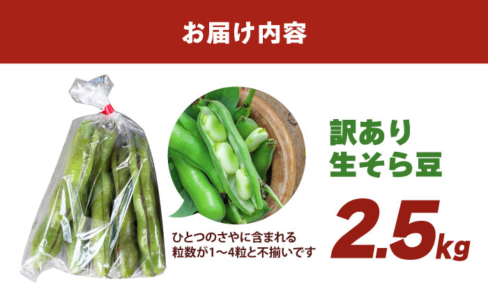 【朝採れ】 訳あり 生そら豆 2.5kg 【にしやまファーム】 新物 さや付き そら豆 [HDI002]