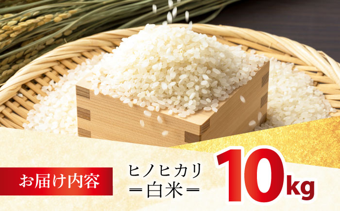 令和7年産 ヒノヒカリ 白米 10kg 【有限会社江北商会】 精米 米 おこめ [HDK001]
