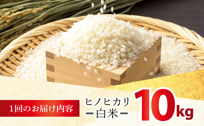 【全3回定期便】 ヒノヒカリ 白米 10kg 【有限会社江北商会】 [HDK002]