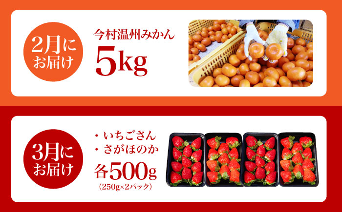 【全2回定期便】 旬のフルーツ定期便 （ みかん ・ いちご ） [HZY101]