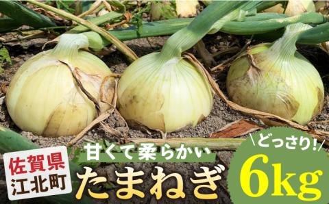【先行予約】江北町産 たまねぎ 約6kg【百武青果】 [HAE008] 玉ねぎ