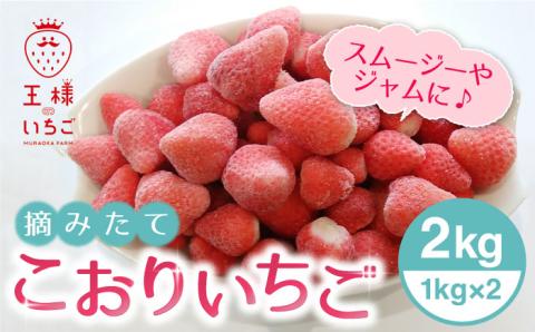 王様のいちご 摘みたてこおりいちご 2kg（冷凍いちご）いちごさん さがほのか【むらおか農園】 [HAF003]