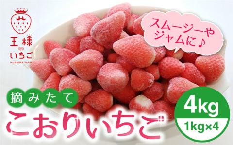 王様のいちご 摘みたてこおりいちご 4kg（冷凍いちご）いちごさん さがほのか【むらおか農園】 [HAF004]