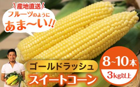 【先行予約】＜2026年6月中旬以降発送>スイートコーン ゴールドラッシュ 8本～10本【八丁屋】とうもろこし [HAO001]