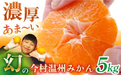 【先行予約】【2月～3月発送】幻のみかん タッチの甘熟「今村温州みかん」5kg 【夢の完熟みかん タッチ】 [HCE002]