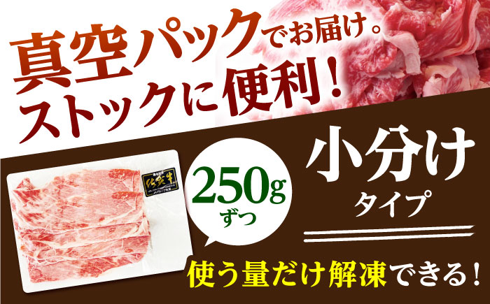 佐賀牛 切り落とし 500g （250g×2パック）【山下牛舎】 [HAD152]