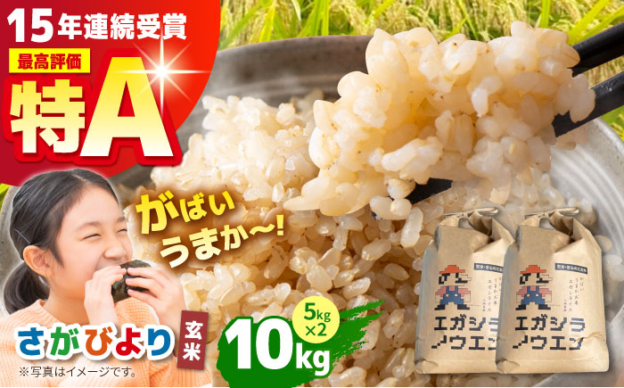  【11月発送】令和7年産 がばいうまかエガシライス（さがびより）玄米 10kg（5kg×2袋）【江頭農園】 [HAU003] 11月発送