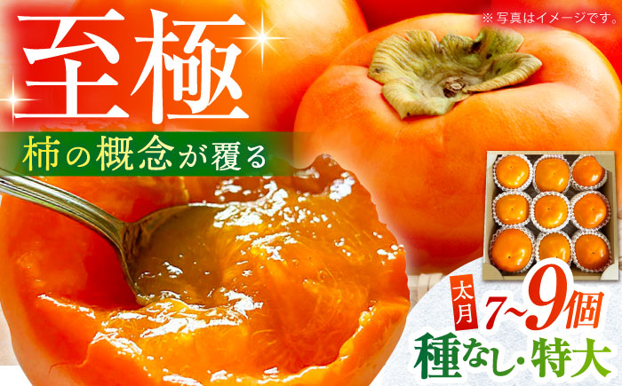 【10月下旬～11月下旬発送】種なし柿 太月・渋抜き柿 3kg【小林農園】 [HAX001]