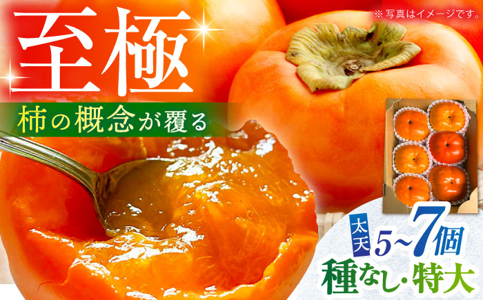 【11月～12月上旬発送】種なし柿 太天・渋抜き柿 3kg【小林農園】 [HAX002]