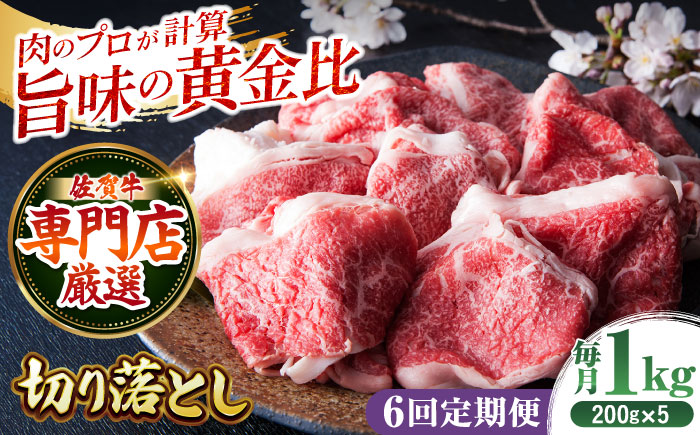 【全6回定期便】佐賀牛 切り落とし 1kg （200g×5パック）【肉の三栄】 [HAA081]