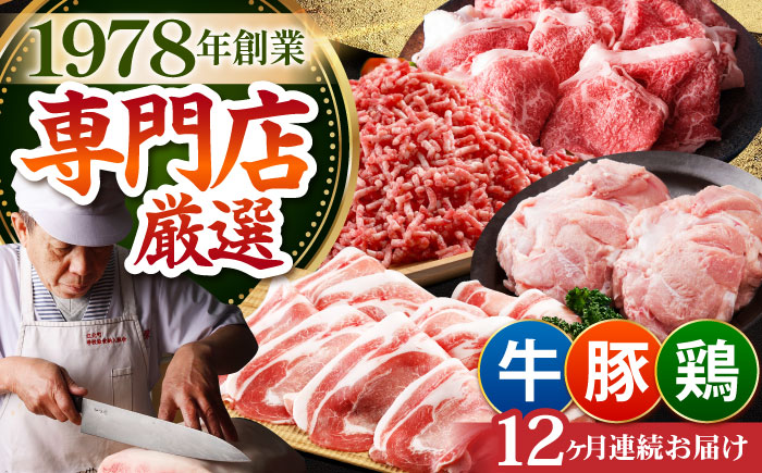 【全12回定期便】ミンチ付き！三栄のデイリーセット 【肉の三栄】 [HAA094] 牛肉