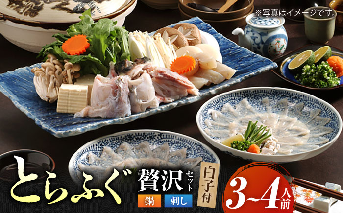 【年内発送】【泳ぐ・とらふぐ】＜白子付＞ ふぐ刺・ふぐ鍋セット [HAB003] 水産物