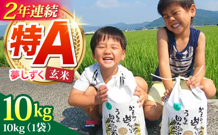 令和7年産 新米 夢しずく 玄米 10kg【ひなたむらのお米】 [HAC002]