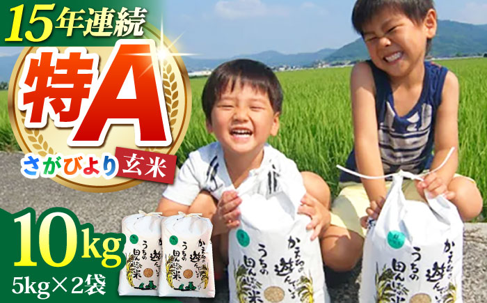 令和7年産 新米 さがびより 玄米 10kg（5kg×2袋）【ひなたむらのお米】 [HAC003]
