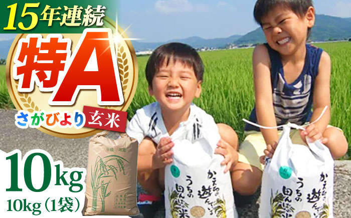 令和7年産 さがびより 玄米 10kg【ひなたむらのお米】[HAC004]