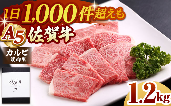 佐賀牛 A5 カルビ 焼肉用 1.2kg(400g×3パック)【山下牛舎】 [HAD055]