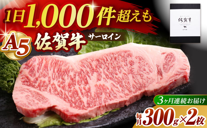 【全3回定期便】佐賀牛 サーロイン ステーキ 600g（300g×2枚）【山下牛舎】 [HAD066]