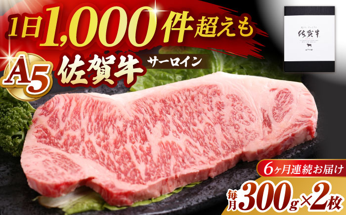 【全6回定期便】佐賀牛 サーロイン ステーキ 600g（300g×2枚）【山下牛舎】 [HAD067]