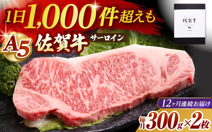 【全12回定期便】佐賀牛 サーロイン ステーキ 600g（300g×2枚）【山下牛舎】 [HAD068]