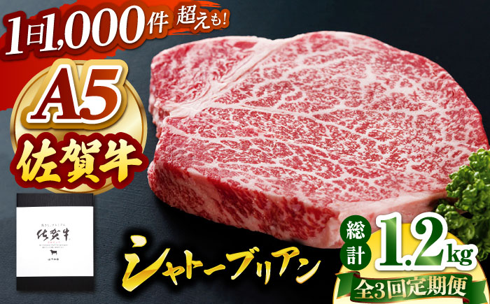 【全3回定期便】佐賀牛 シャトーブリアン 400g（200g×2枚）【山下牛舎】 [HAD069]