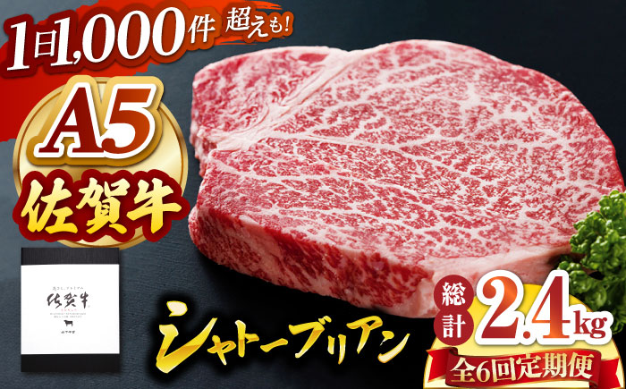 【全6回定期便】佐賀牛 シャトーブリアン 400g（200g×2枚）【山下牛舎】 [HAD070]