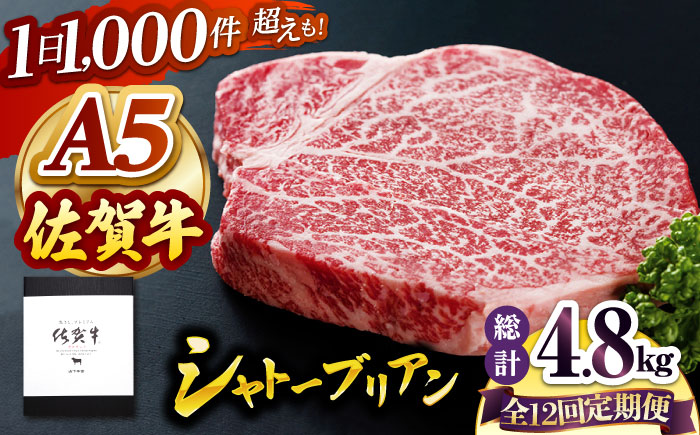 【全12回定期便】佐賀牛 シャトーブリアン 400g（200g×2枚）【山下牛舎】 [HAD071]