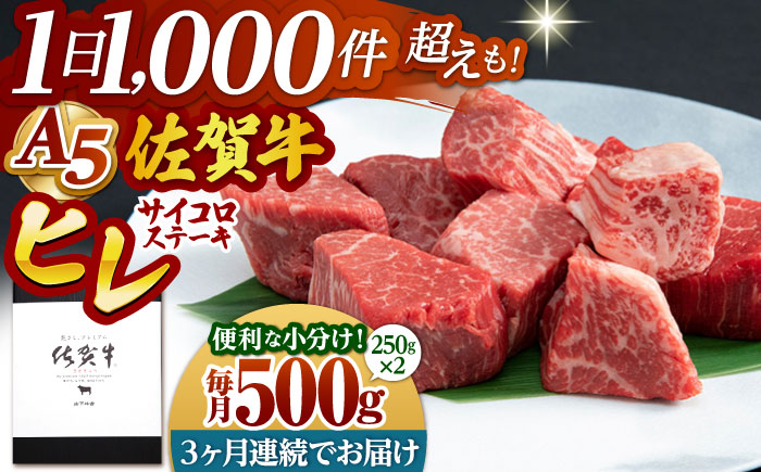 【全3回定期便】佐賀牛 ヒレ サイコロステーキ 500g(250g×2パック)【山下牛舎】 [HAD072]