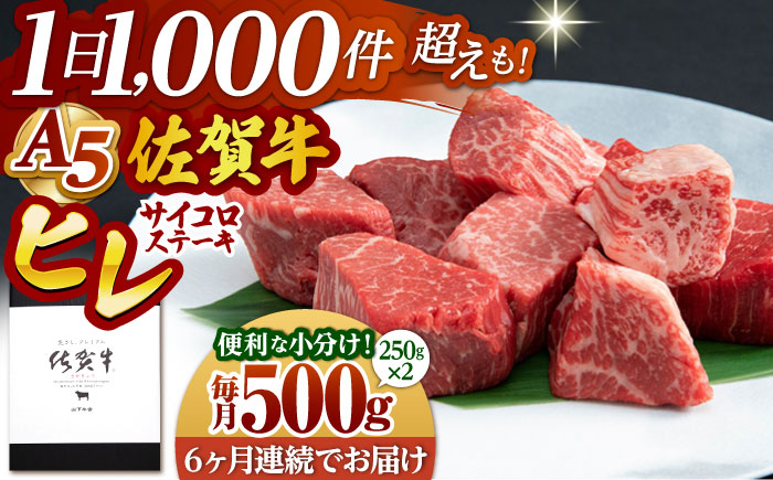 【全6回定期便】佐賀牛 ヒレ サイコロステーキ 500g(250g×2パック)【山下牛舎】 [HAD073]