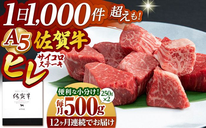 【全12回定期便】佐賀牛 ヒレ サイコロステーキ 500g(250g×2パック)【山下牛舎】 [HAD074]