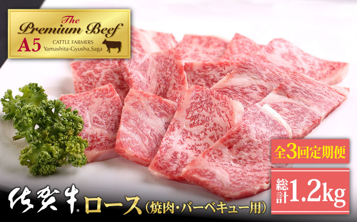 【全3回定期便】佐賀牛 ロース 400g（焼肉用）【山下牛舎】 [HAD093]