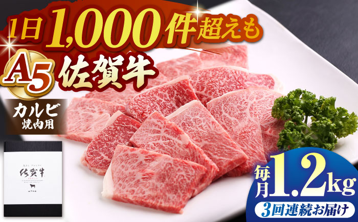 【全3回定期便】佐賀牛 カルビ 400g（焼肉用）【山下牛舎】 [HAD094]