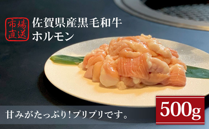 佐賀県産黒毛和牛 ホルモン 500g【山下牛舎】 [HAD108] 牛肉