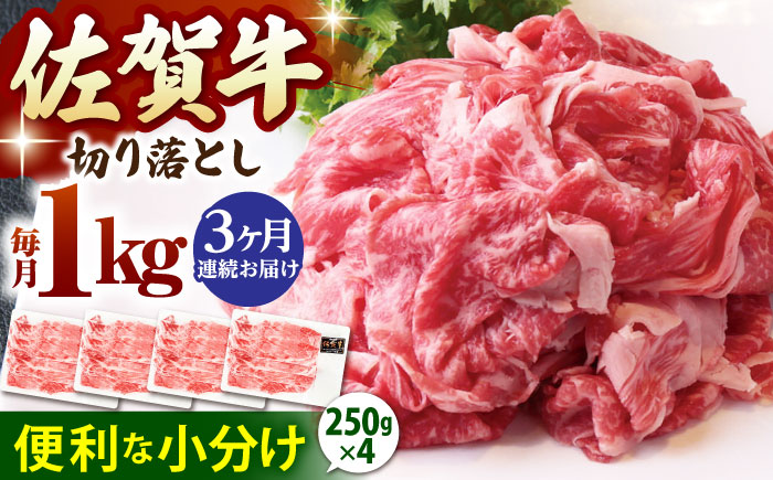 【全3回定期便】佐賀牛 切り落とし 1kg(250g×4p)【山下牛舎】 [HAD153]