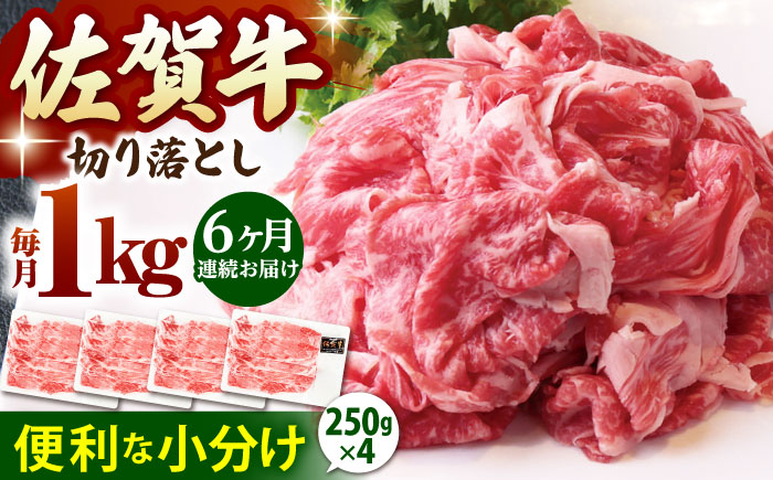 【全6回定期便】佐賀牛 切り落とし 1kg(250g×4p)【山下牛舎】 [HAD154]