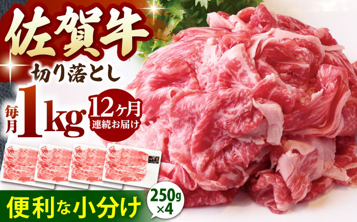 【全12回定期便】佐賀牛 切り落とし 1kg(250g×4p)【山下牛舎】 [HAD155]