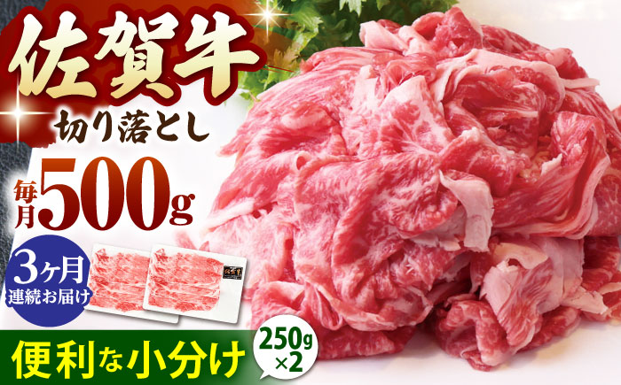【全3回定期便】佐賀牛 切り落とし 500g （250g×2パック）【山下牛舎】 [HAD156]