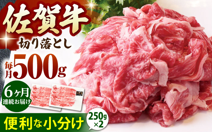 【全6回定期便】佐賀牛 切り落とし 500g （250g×2パック）【山下牛舎】 [HAD157]