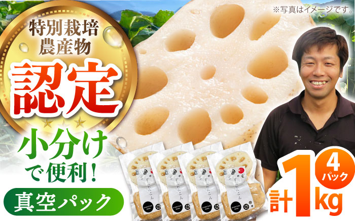 【先行予約】【特別栽培農産物 認定】＜地元江北町産＞佐賀 れんこんパック 1kg（250g×4）【百武青果】 [HAE013] 蓮根