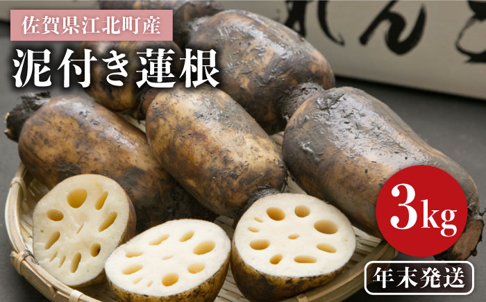 【年末発送 ※12月25日～27日発送】＜地元江北町産＞泥付き 蓮根 3kg【百武青果】 [HAE015]