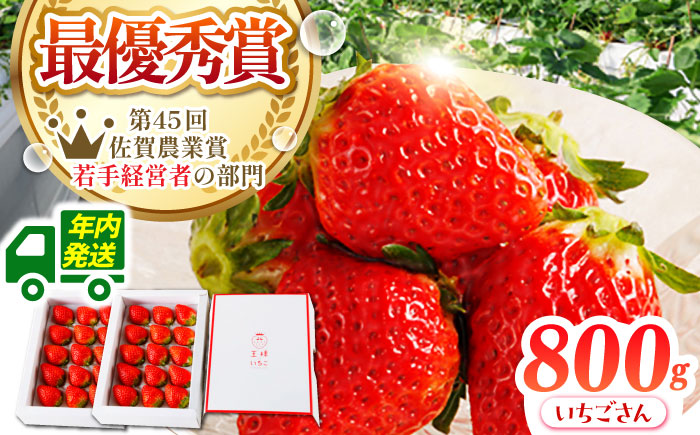【12月発送】王様のいちご いちごさん 800g（400g×2箱）【むらおか農園】 [HAF001]
