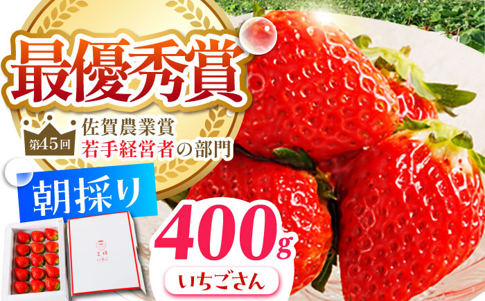 【1〜2月発送】王様のいちご いちごさん 400g【むらおか農園】[HAF013]