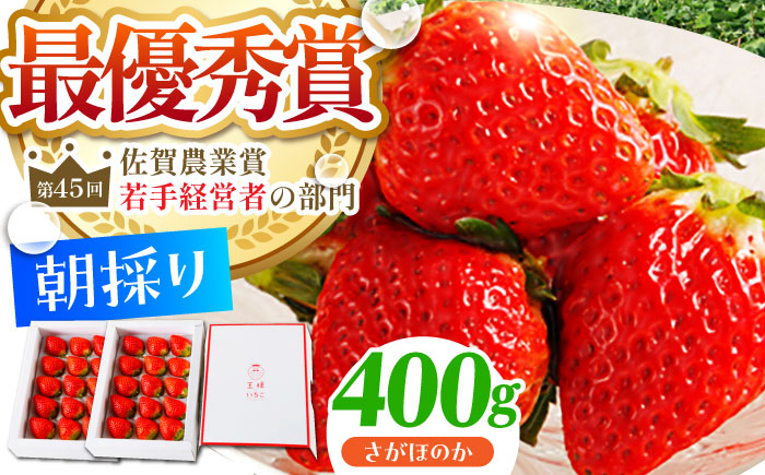 【1〜2月発送】王様のいちご さがほのか 400g【むらおか農園】[HAF014]