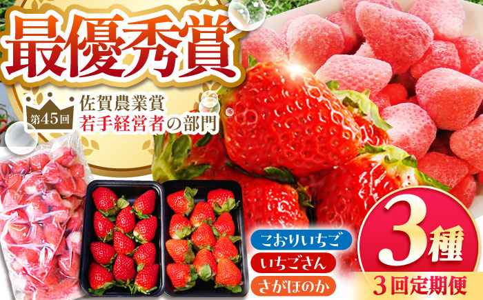 【先行予約】【全3回定期便】いちご食べ尽くし定期（さがほのか いちごさん こおりいちご）【むらおか農園】 [HAF027]